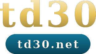 td30 logo